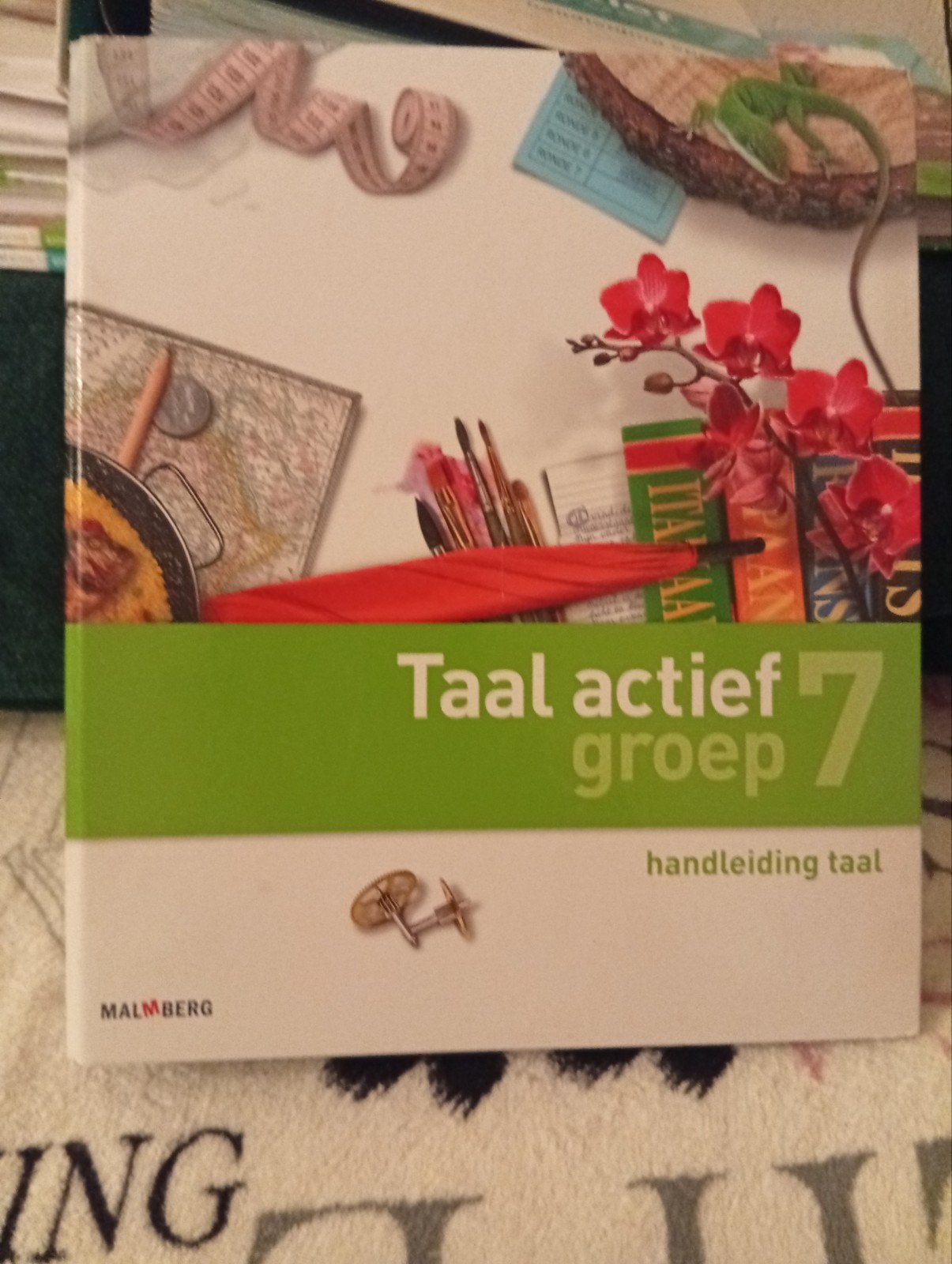 Taal actief groep 7 handleiding taal, Ophalen of Verzenden, Nieuw