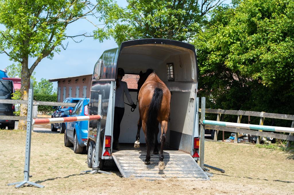 Trailerlaad training, hulp bij uitdagend gedrag trailerladen, Ophalen of Verzenden