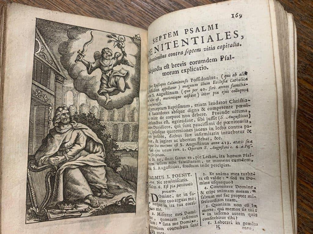 Nakatenus Coeleste Palmetum 1756 met 17 gravures, Ophalen of Verzenden
