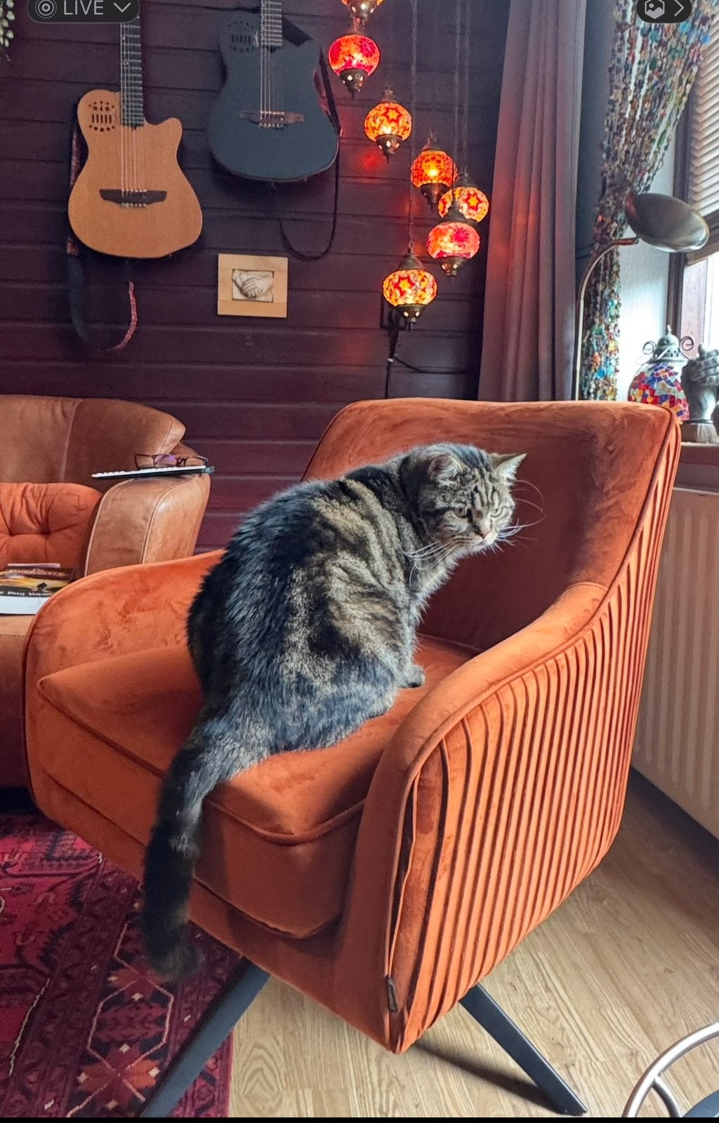 Te koop Riverdale oranje fauteuil, Ophalen, Gebruikt, 75 tot 100 cm, Riverdale