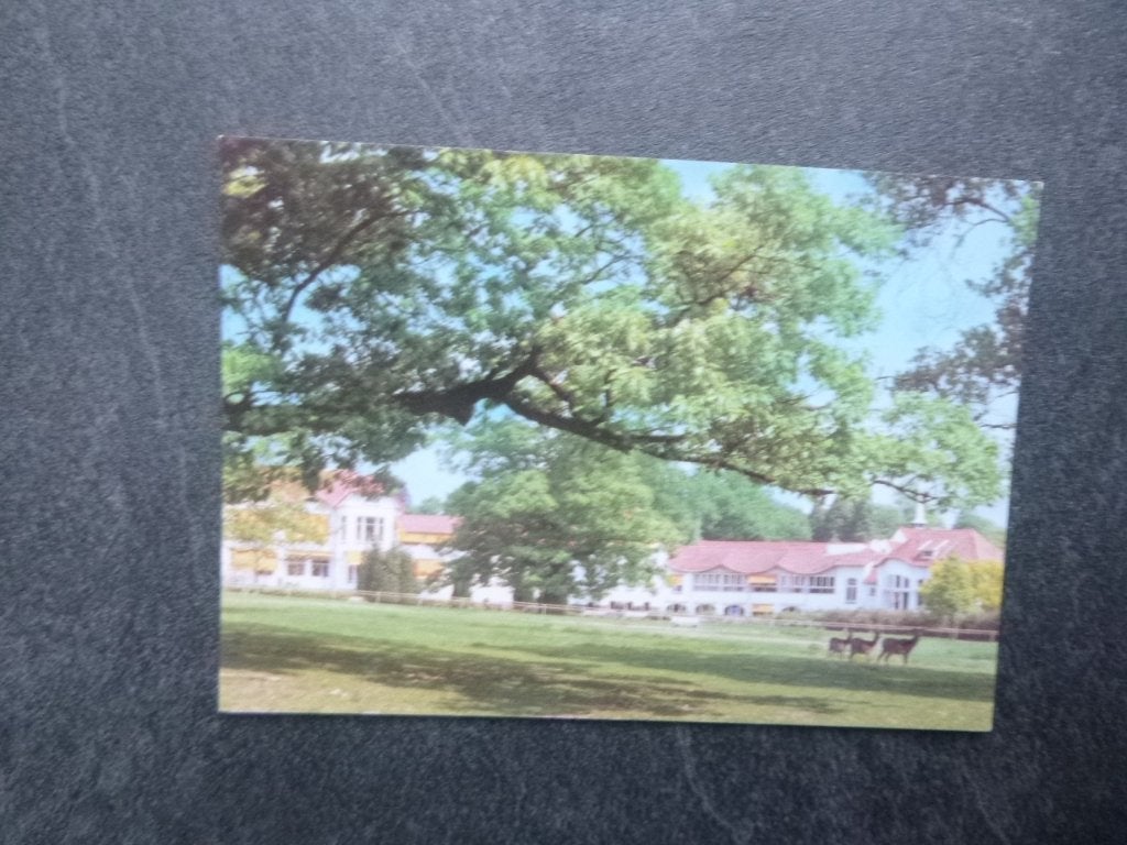 Renkum, Oranje Nassau's oord, Verzenden, 1980 tot heden, Ongelopen, Gelderland