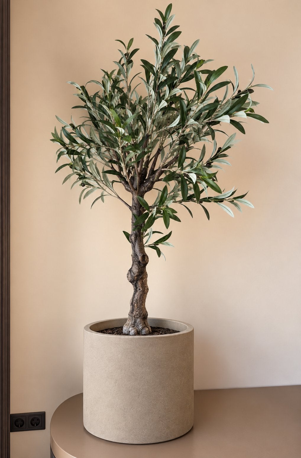 Kave Home Olijfboom 140 cm - ZGAN - geen pot, Ophalen of Verzenden, Zo goed als nieuw, Groen, Mediterraans