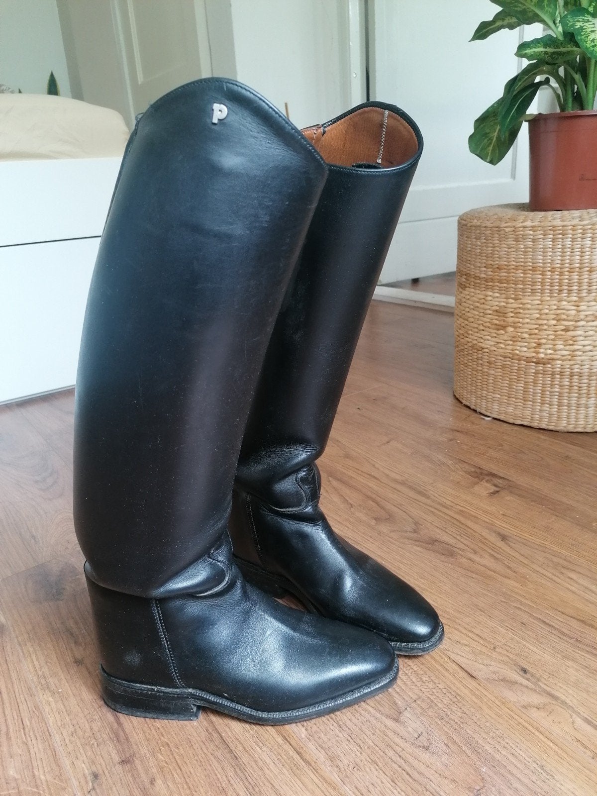 Petrie leren paardrijlaarzen maat 36 / 37, Ophalen of Verzenden, Dressuur, Schoeisel