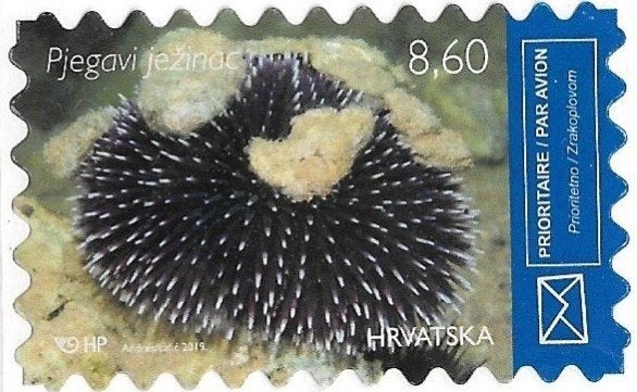 Kroatië 2019 mi.1381 zeeleven ZEE-EGEL, Verzenden, Overige landen, Gestempeld