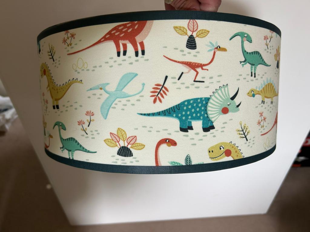 Lampenkap dino’s, Ophalen, Rond
