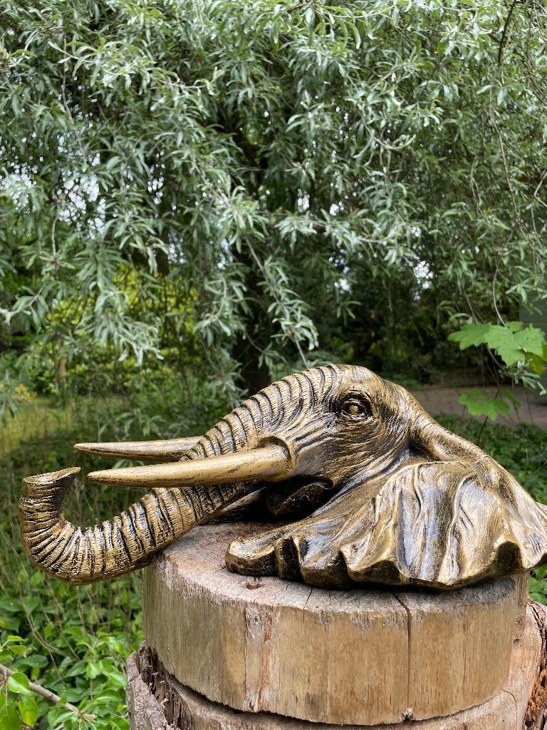 Beeld schild wand olifant tuin, dieren, dierentuin 30cm, Tuin en Terras, Tuinbeelden, Ophalen of Verzenden, Nieuw, Kunststof, Dierenbeeld