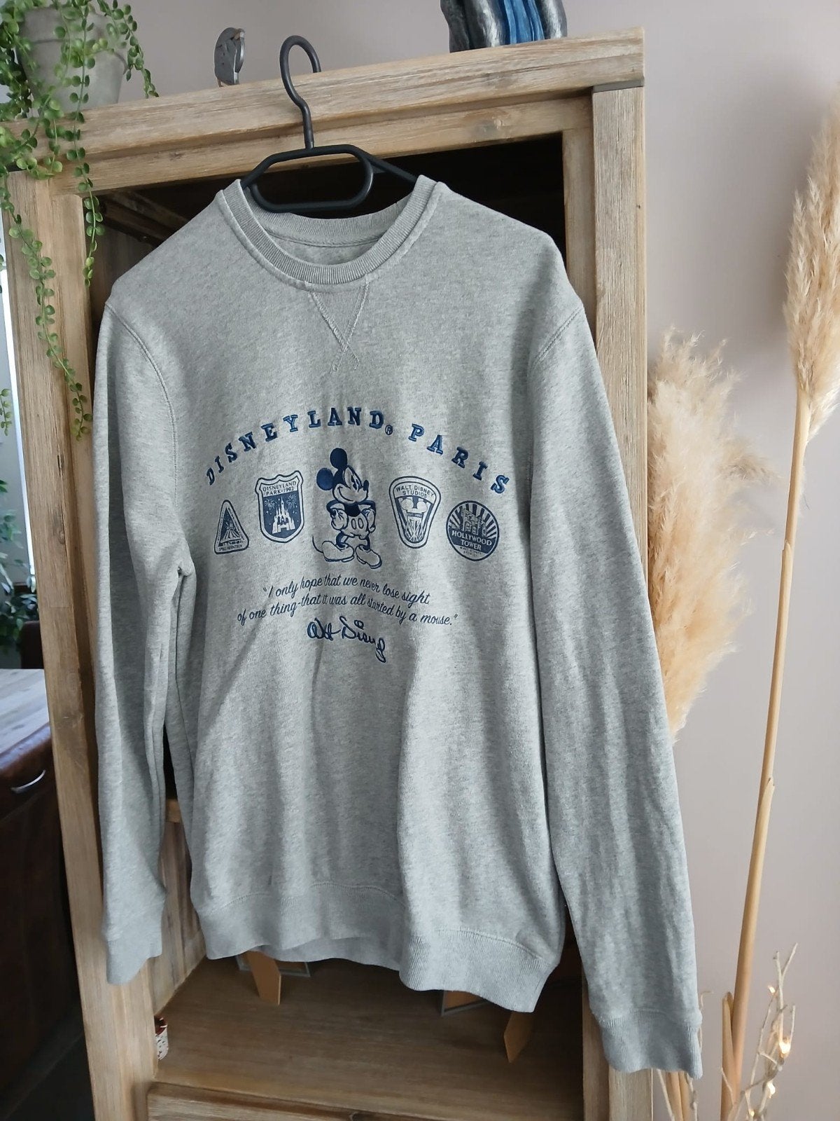 Grijze Disneyland Parijs Mickey Mouse Sweater, Disney, Ophalen of Verzenden, Zo goed als nieuw, Lange mouw