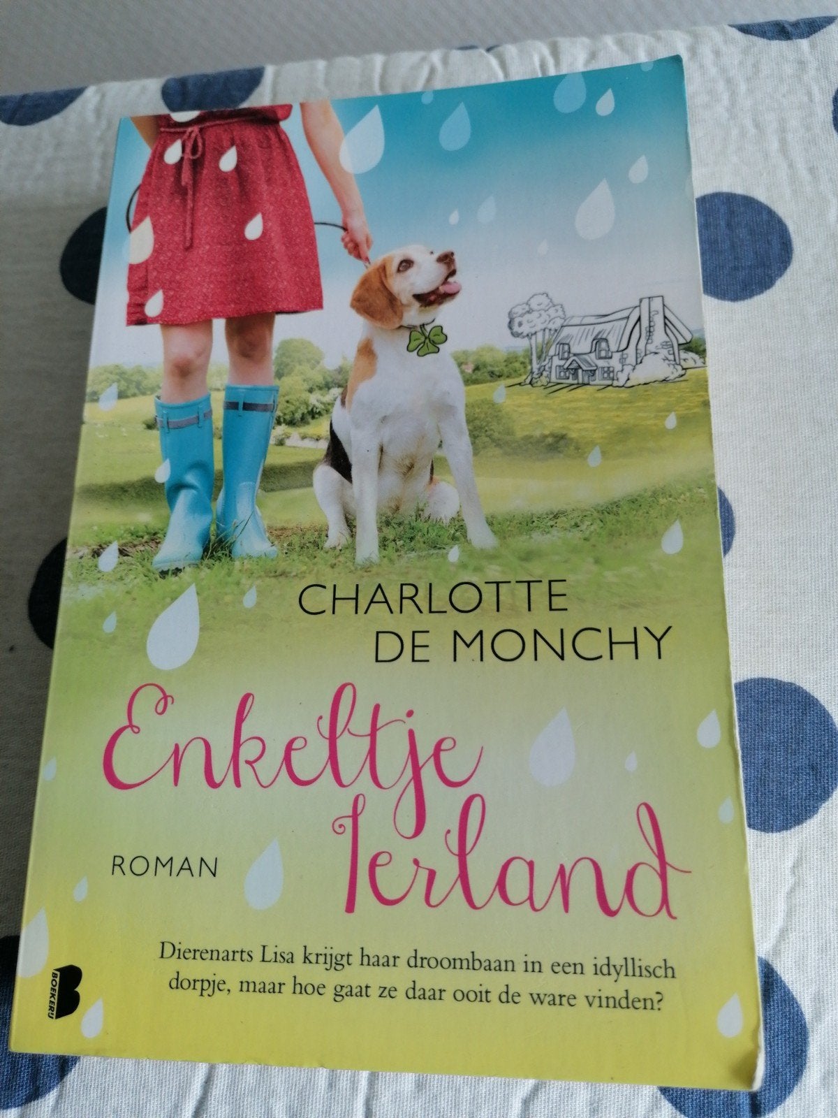 Charlotte de Monchy - Enkeltje Ierland, Ophalen of Verzenden, Gelezen, Charlotte de Monchy
