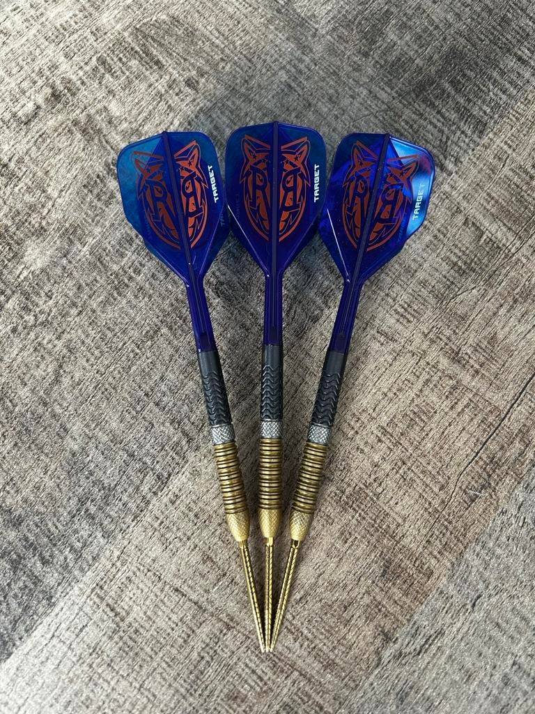 Raymond van Barneveld Gen 6 dartpijlen 21 gram, Sport en Fitness, Darts, Ophalen of Verzenden, Zo goed als nieuw, Pijlen