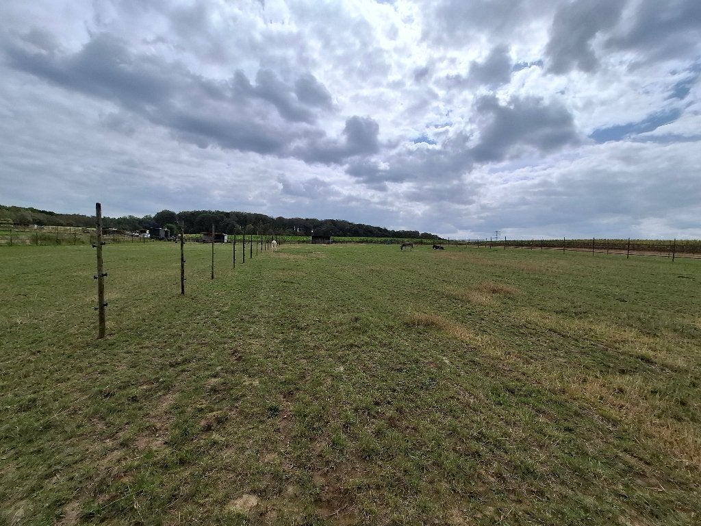Weiland te huur voor paarden, Weidegang, 2 of 3 paarden of pony's