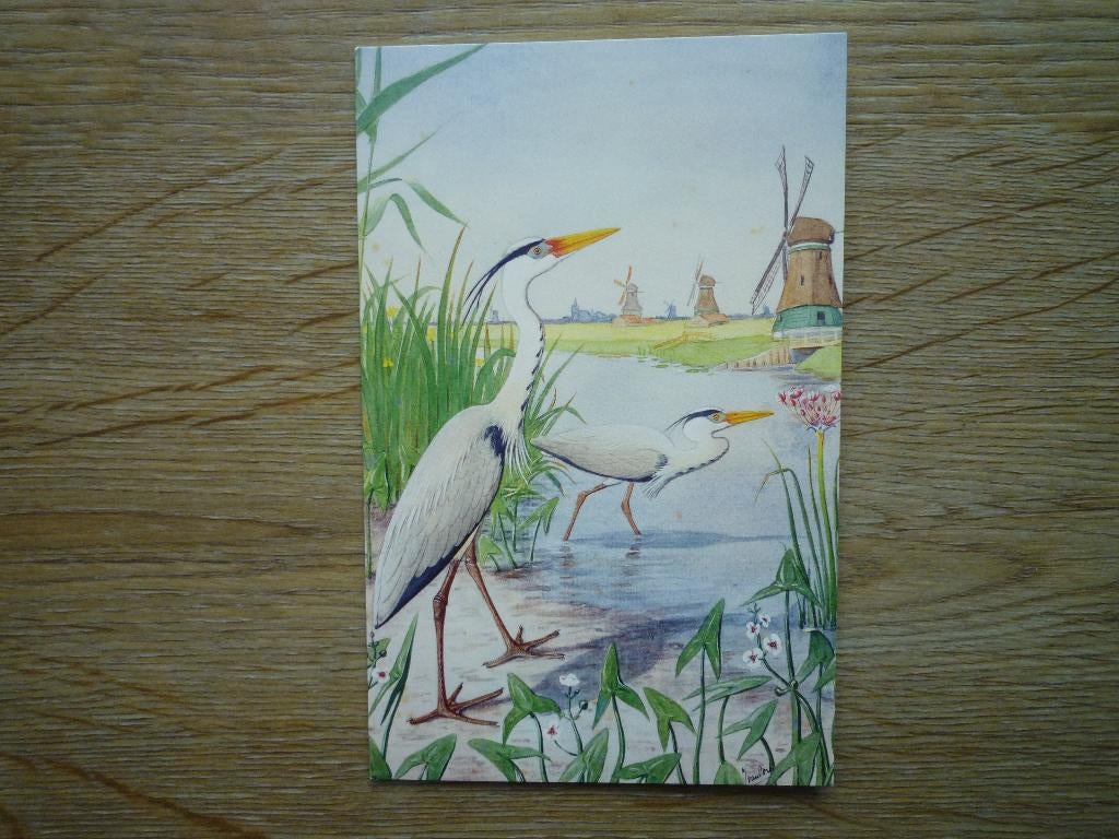 Reiger reigers vogels door Jan van Oort Zaans Museum, Verzamelen, Ophalen of Verzenden, Voor 1920, Vogel