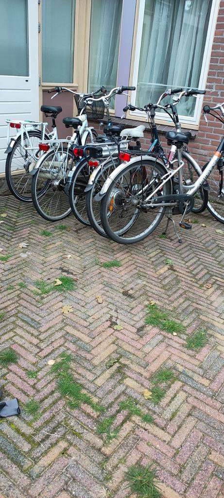 Diverse fietsen - Batavus, Gazelle, Giant, Sparta, Overige merken, Versnellingen, Ophalen of Verzenden, 53 tot 56 cm