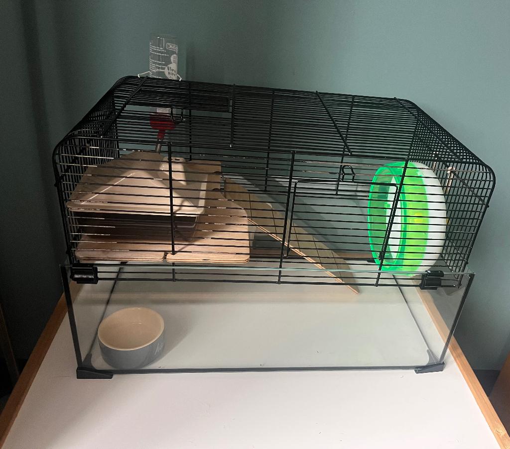 Hamsterhok, Dieren en Toebehoren, Gebruikt, Minder dan 75 cm, Ophalen, Minder dan 60 cm