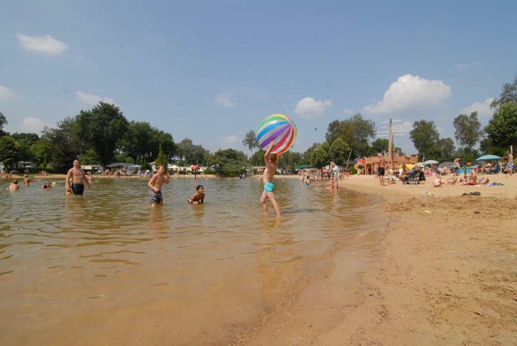 SEIZOEN EN JAARPLAATSEN op de veluwe, Vakantie, Internet, In bos, Landelijk