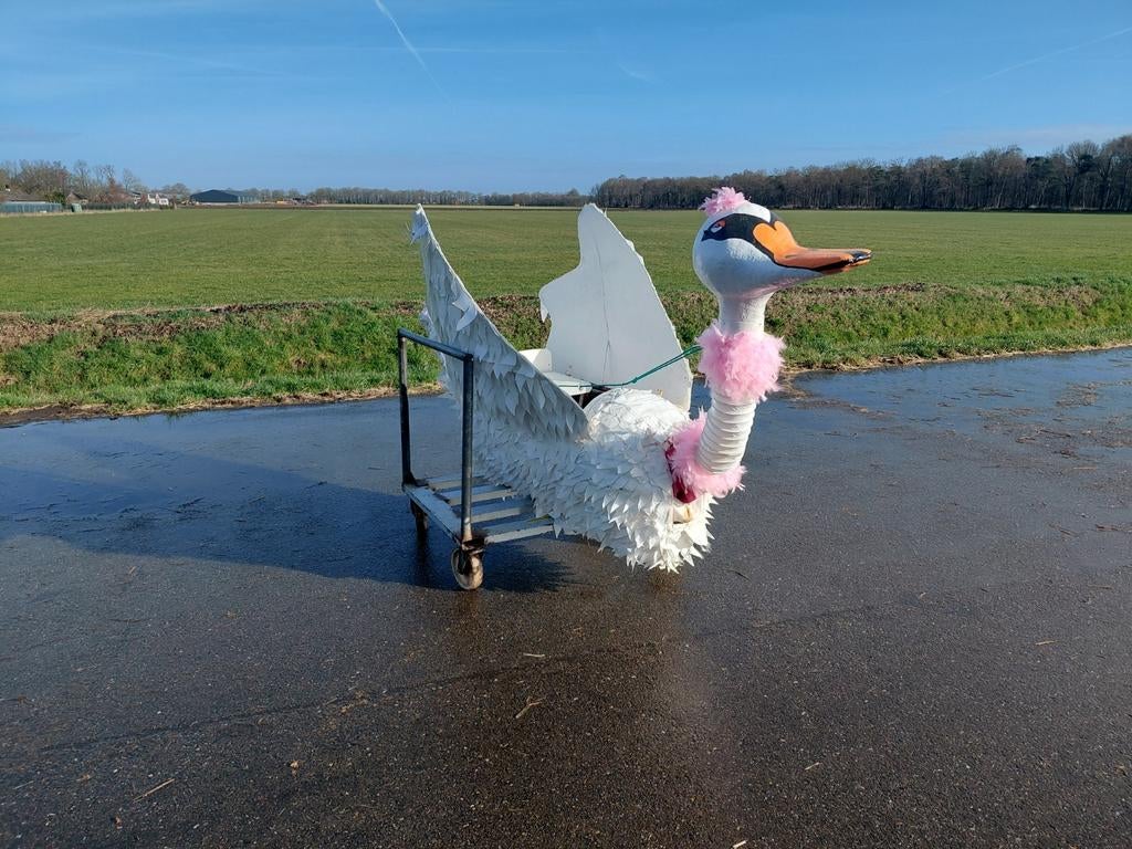 Carnavals poppen zwanen plus loopgroep, 33 - 40 uur, Overige niveaus, Overige vormen