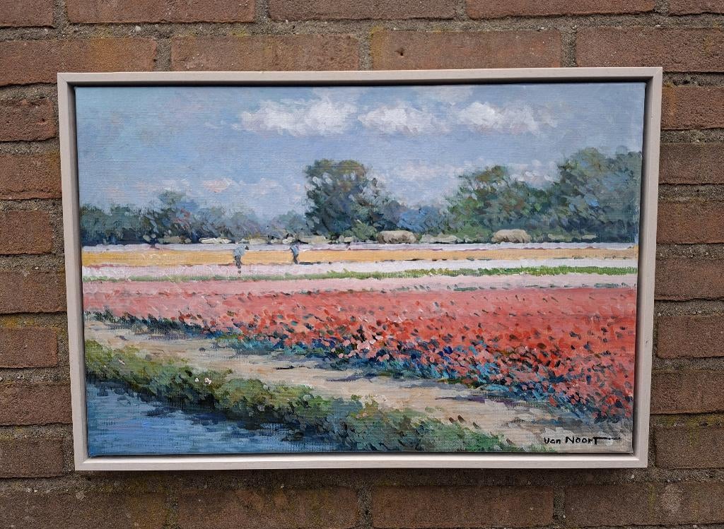 VAN NOORT , BOLLENVELD TE HEEMSTEDE, Ophalen of Verzenden