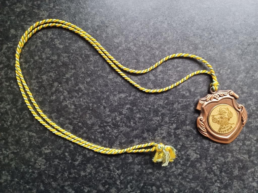 Carnavals medaille onderscheiding CV De Peelvrujters, Postzegels en Munten, Penningen en Medailles, Ophalen, Overige materialen