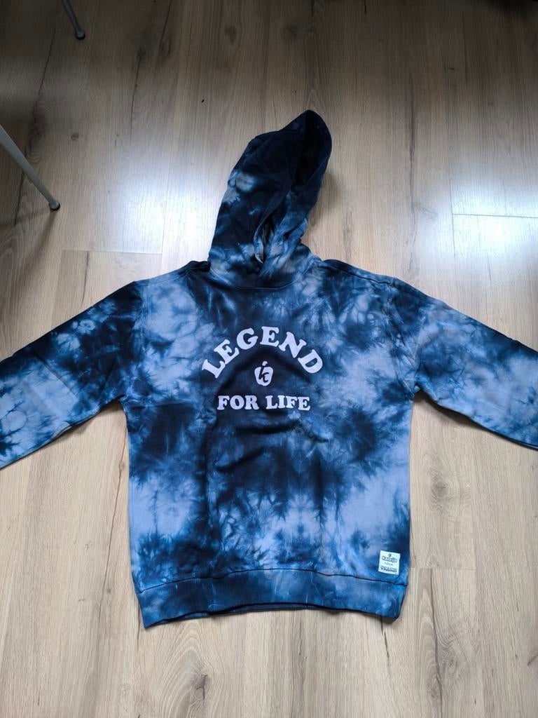 Nieuw! Hoody vingino Kalvijn maat 164, Ophalen of Verzenden, Nieuw, Jongen, Trui of Vest