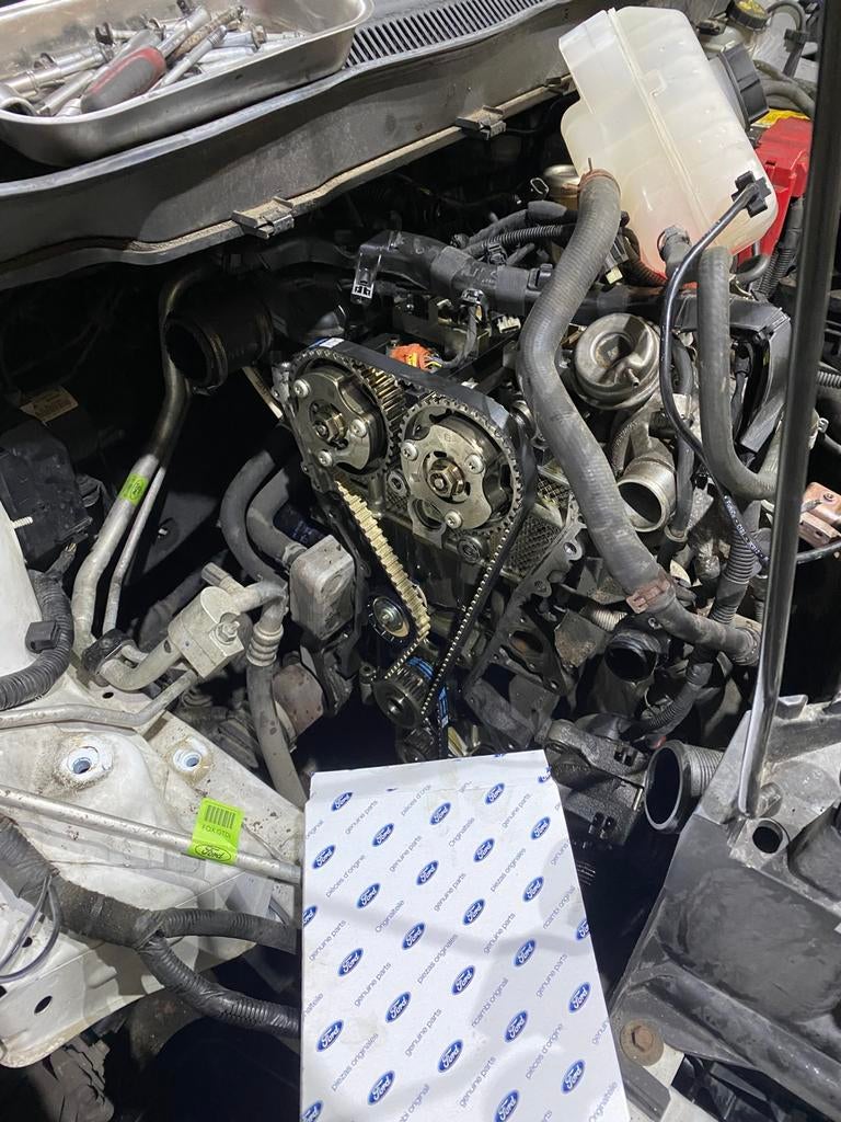 Ford 1.0 EcoBoost  Distributieriem vervangen origineel ford