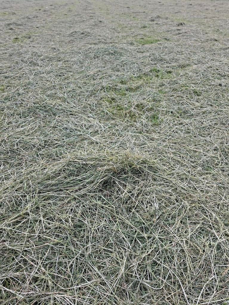 T.k. midi balen kuil vol energie., Dieren en Toebehoren