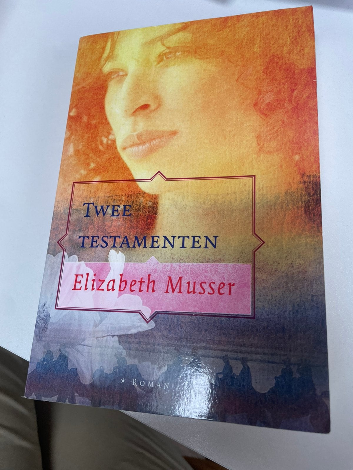 Elizabeth Musser - Twee testamenten, Ophalen of Verzenden, Zo goed als nieuw, Elizabeth Musser