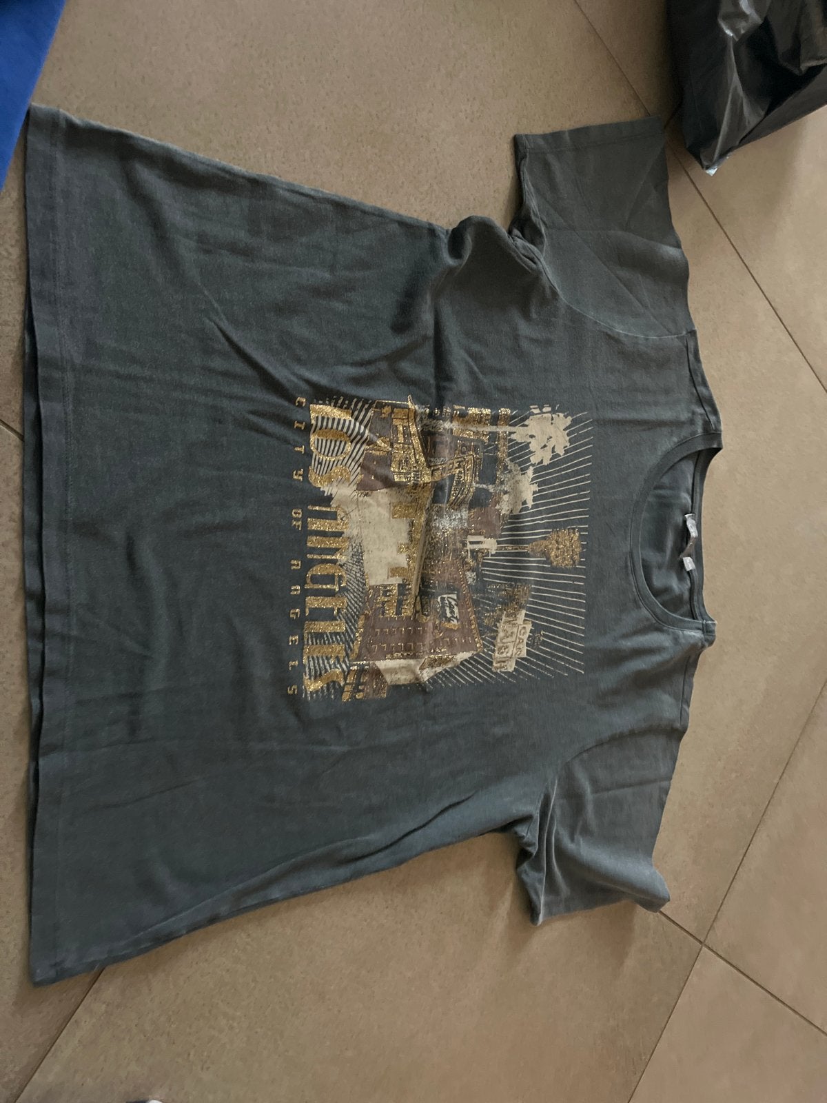 Geisha T-shirt XL met print, Kleding | Dames, Ophalen, Maat 46/48 (XL) of groter, Korte mouw, Grijs