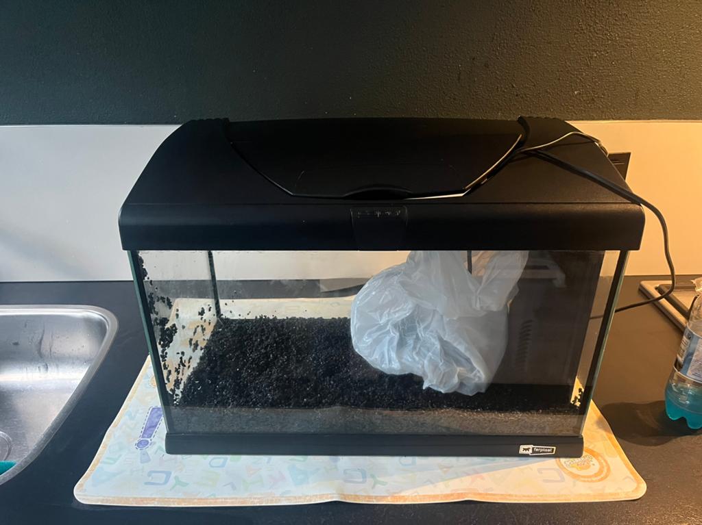 Ferplast Aquarium, Dieren en Toebehoren, Ophalen, Inclusief deksel, Gebruikt, Leeg aquarium