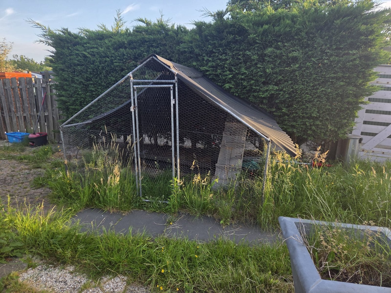 Kippenren/ catio, Ophalen, Kippenhok of Kippenren