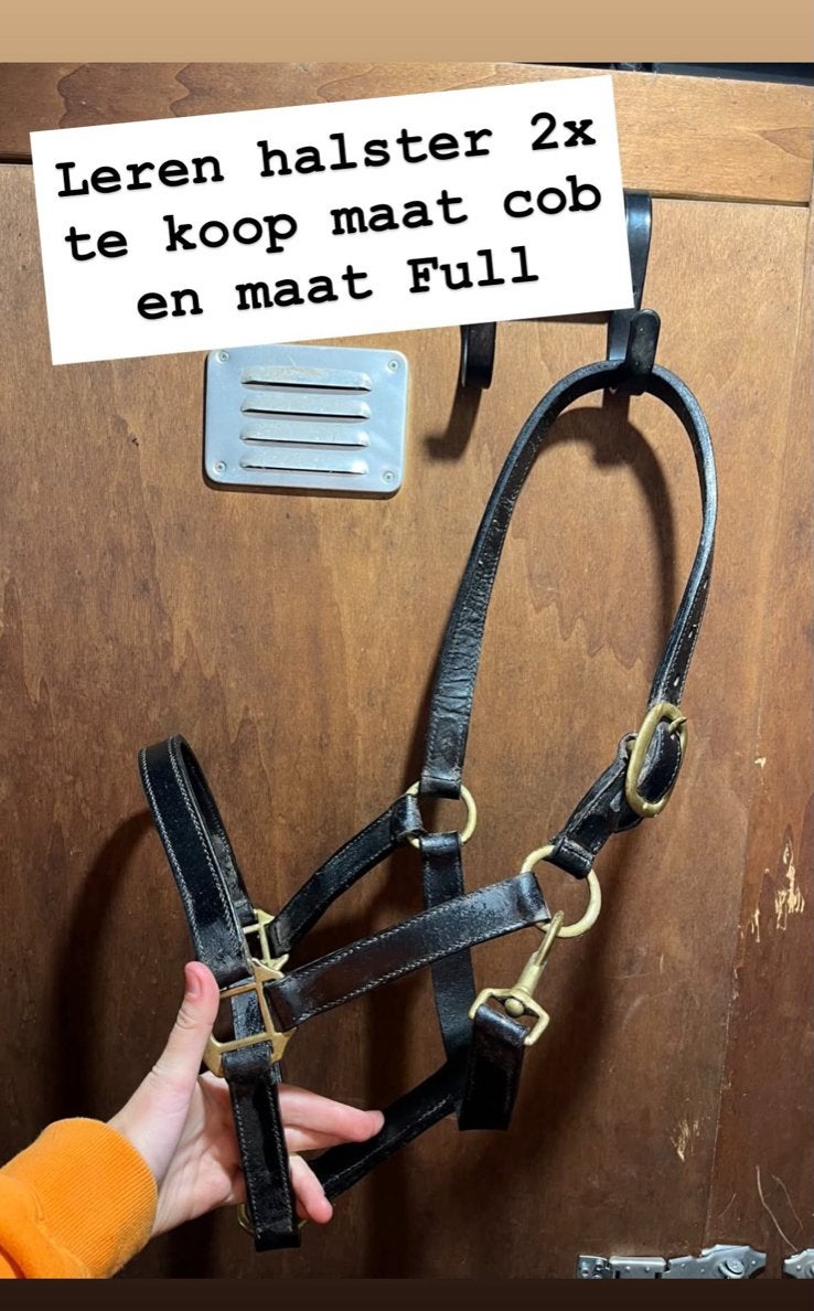 Leren halster, Ophalen of Verzenden, Zo goed als nieuw