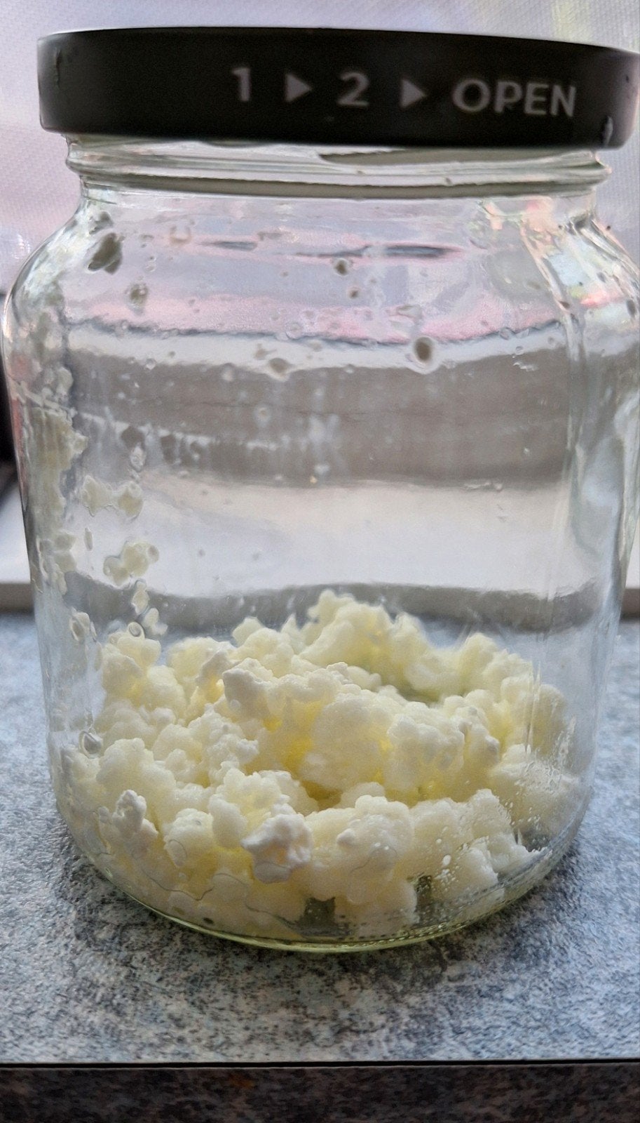 Melk Kefir korrels., Diversen, Levensmiddelen, Ophalen