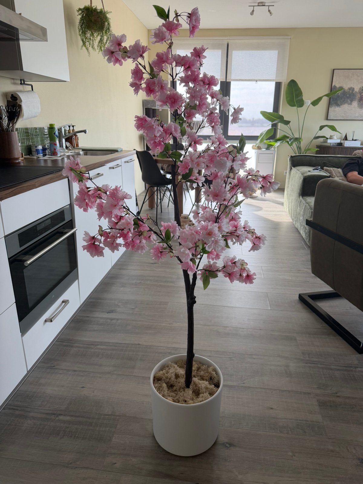Kunst Kersenbloesem 150 cm, Huis en Inrichting, Woonaccessoires | Kunstplanten en Kunstbloemen, Ophalen, Zo goed als nieuw