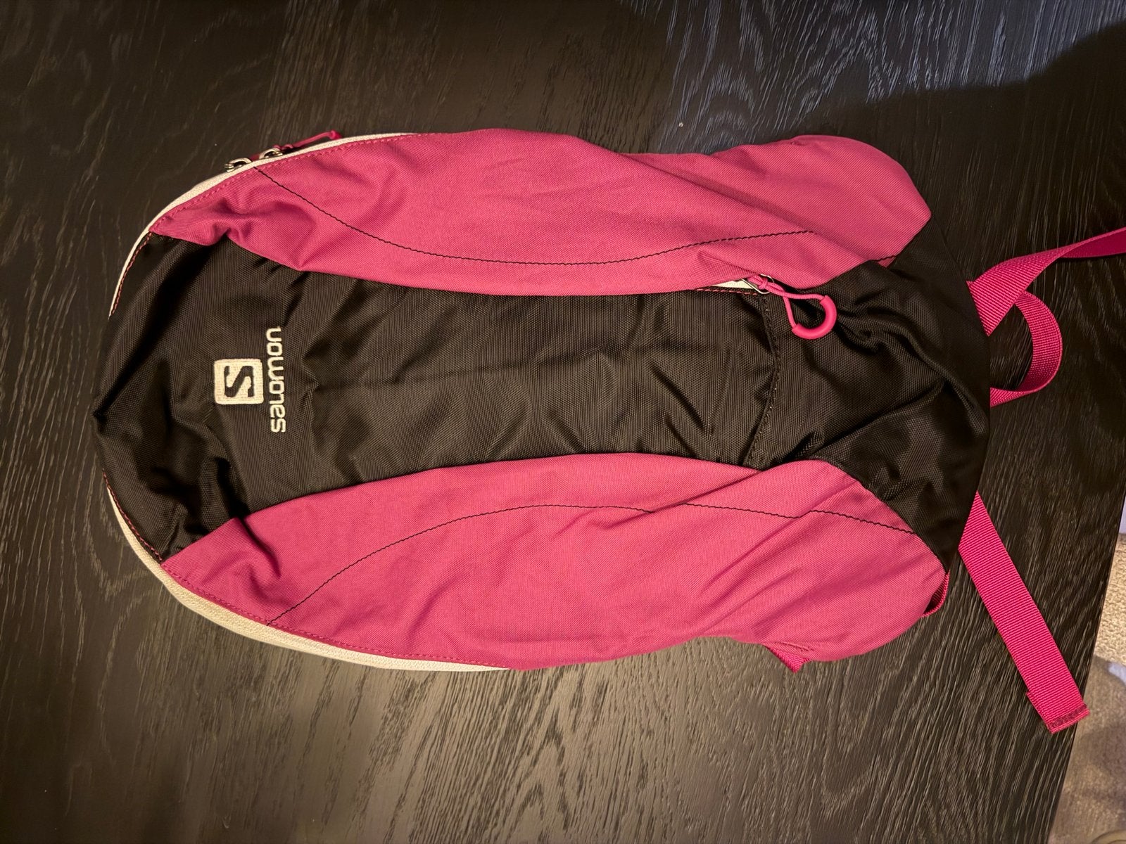 Salomon rugzak voor wandelen of skiën, Gebruikt, 25 tot 40 cm, Ophalen of Verzenden, Trekking