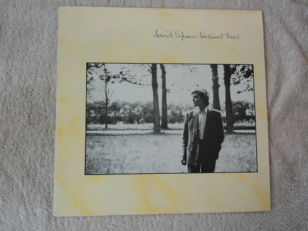 David Sylvian - brilliant trees, Inclusief binnenhoes, Verzenden, Zo goed als nieuw, 12 inch