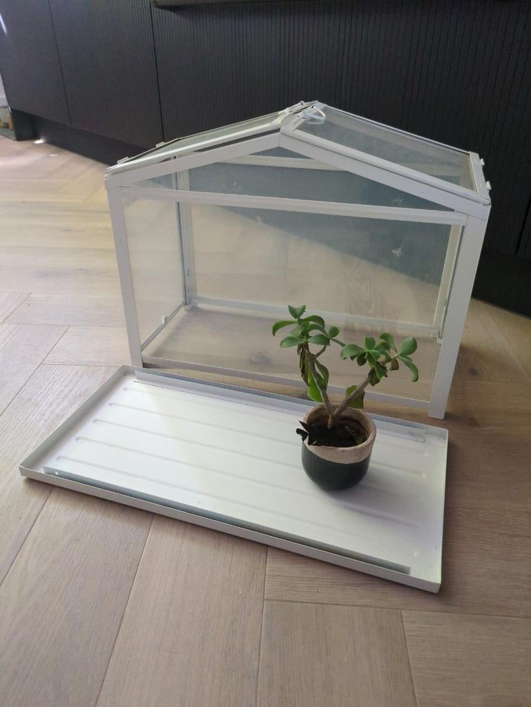 IKEA Kweekkasje Metaal - 45x22x35cm - 2-delig, Ophalen, Zo goed als nieuw, Kweekkast