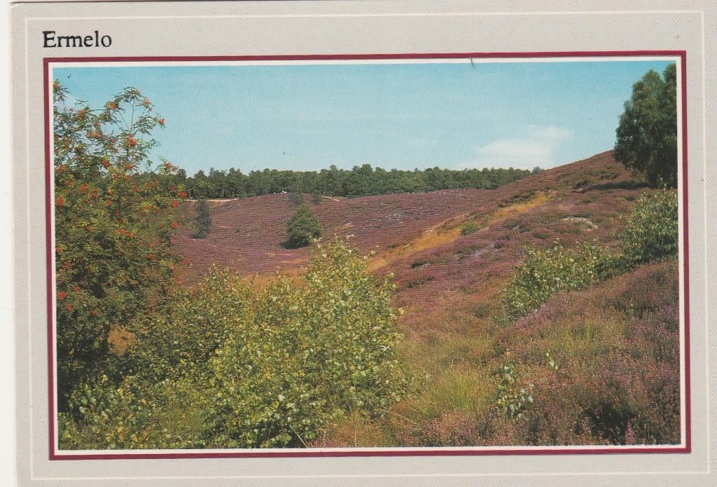 ERMELO Heide, Verzenden, 1980 tot heden, Gelopen, Gelderland