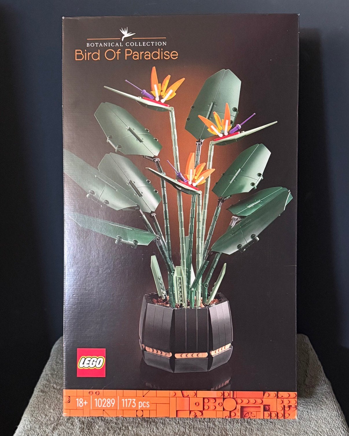 Lego Bird of Paradise 10289 in ongeopende verpakking, Overige thema's, Lego, Nieuw, Ophalen of Verzenden
