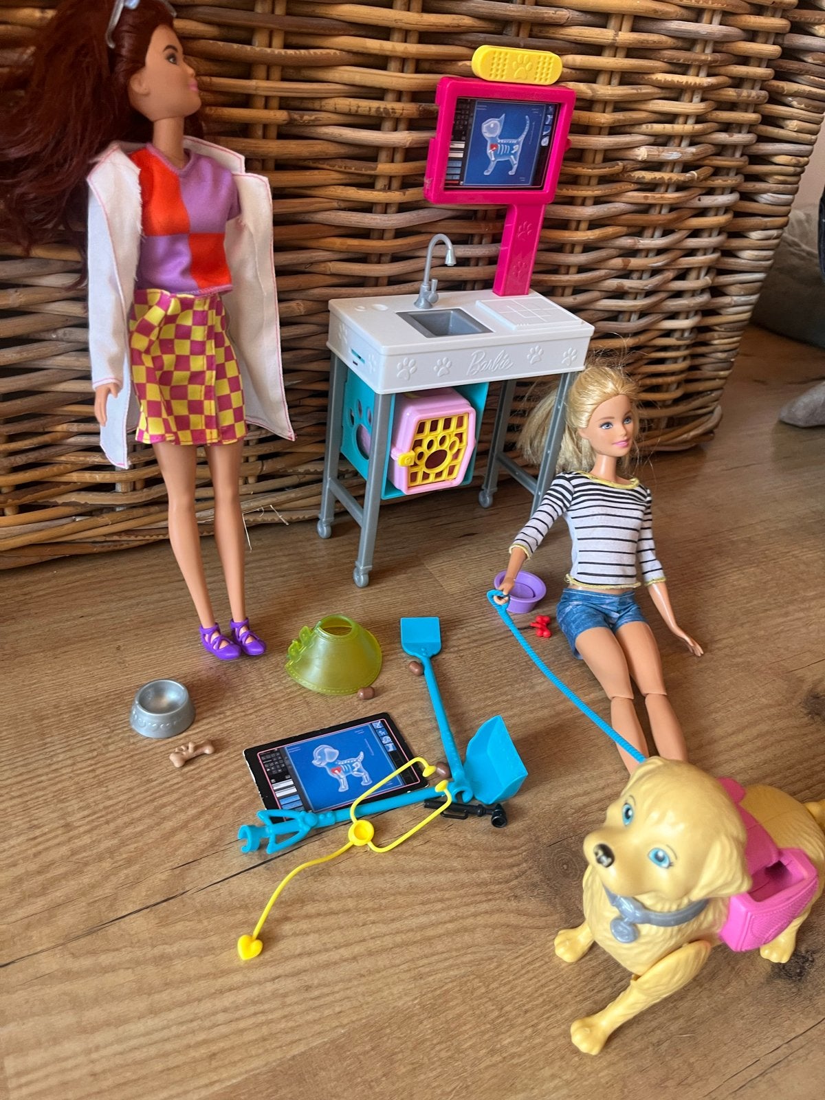 Barbie Dierenarts Speelset met Twee Poppen en Hond, Ophalen of Verzenden, Zo goed als nieuw, Barbie