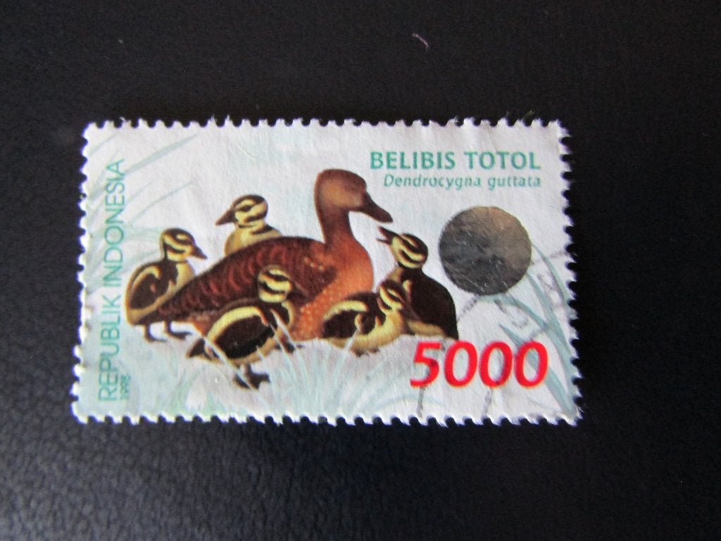 Postzegel Vogel: Gevlekte Fluiteend uit Indonesië, Ophalen of Verzenden, Gestempeld, Dier of Natuur