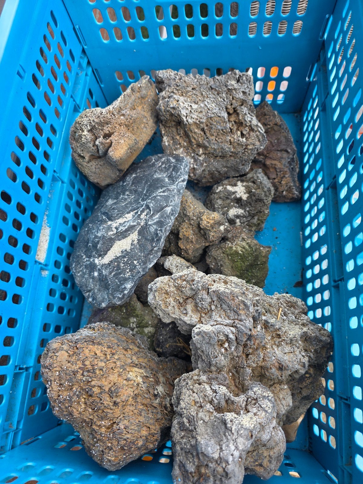 Gratis!! Aquarium rotsen., Dieren en Toebehoren, Vissen | Aquaria en Toebehoren, Ophalen, Plant(en), Steen of Hout
