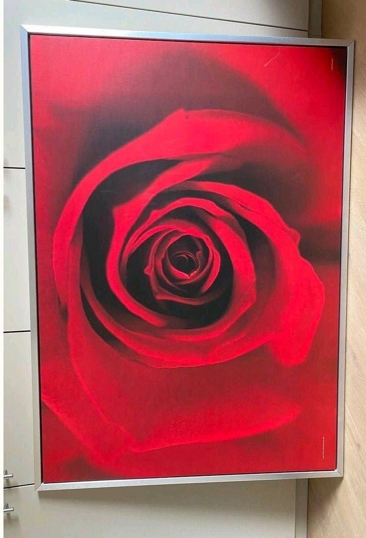 2 Grote Canvas Print Rode Roos - Modern Kunstwerk 140x100cm, Ophalen, Bloemen