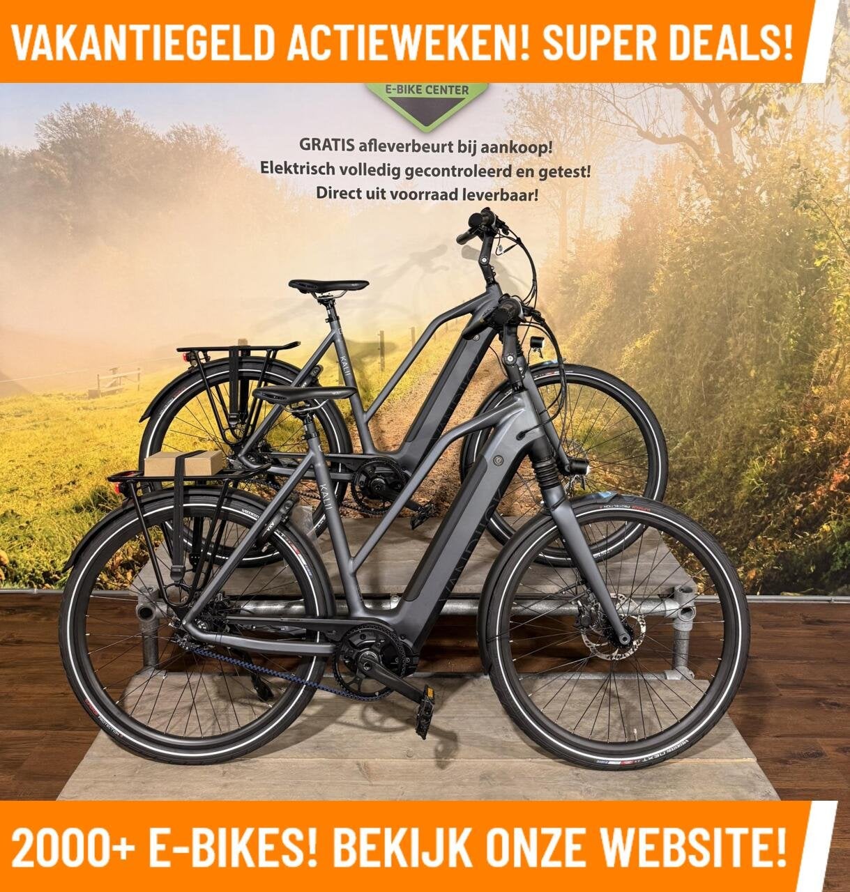 Van Dijck Kalli Elektrische fiets met Bafang midden motor!