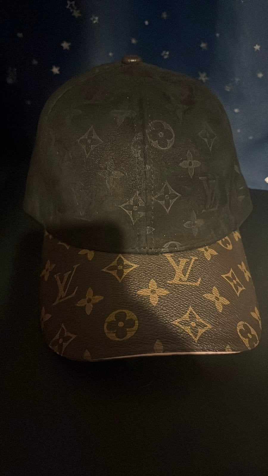 Louis vuitton pet, Kleding | Heren, Verzenden, Nieuw, One size fits all, Pet