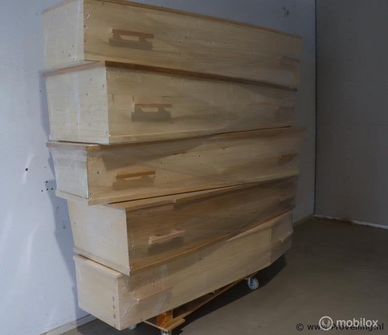 Online Veiling: Beenderkisten - 5 stuks, Diversen, Nieuw