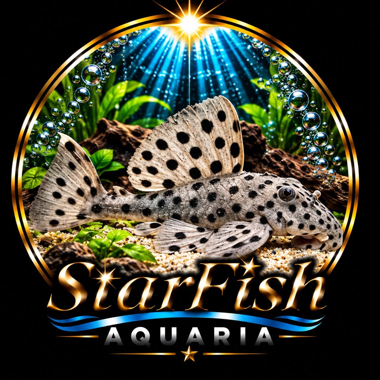 L264 Leporacanthicus Sultan Pleco, Vis