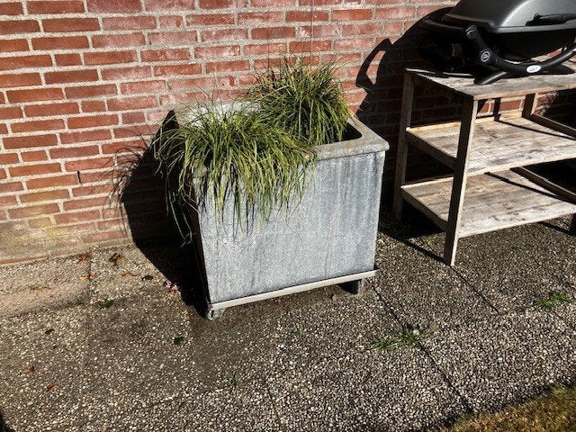 Grote betonnen planten betonnen bakken, Ophalen