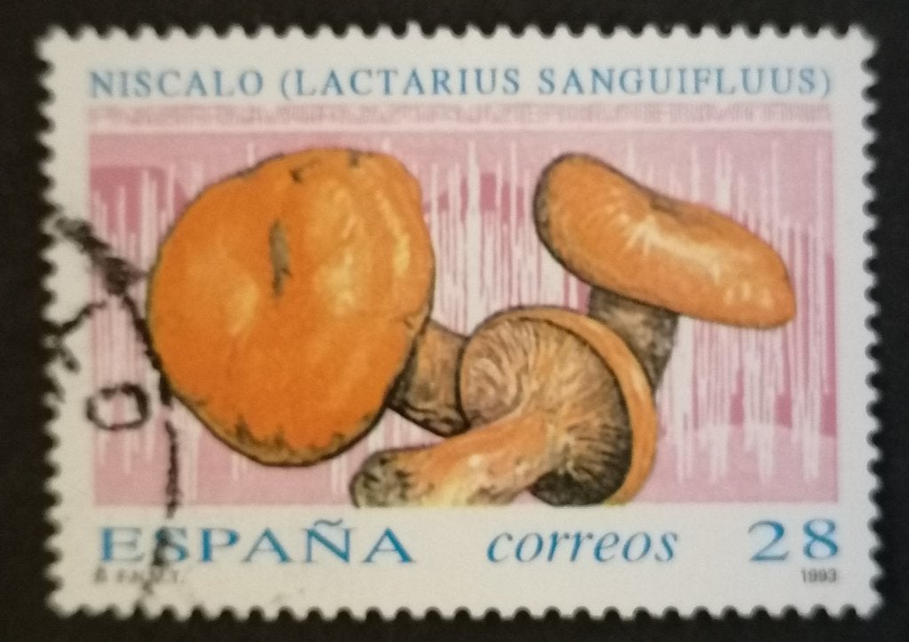SPANJE - paddestoelen 1993, Ophalen of Verzenden, Gestempeld