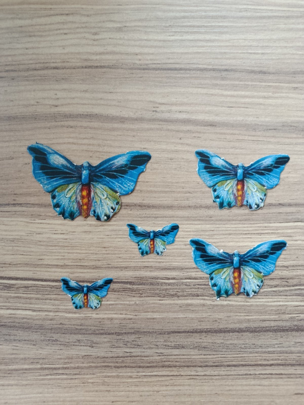 3D vlinders,, Ophalen of Verzenden, Nieuw, Overige thema's, Overige typen