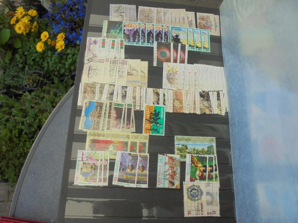 2. vervolg foto's dik boek AUSTRALIE  voorraad/ oud etc MOOI, Ophalen of Verzenden, Buitenland