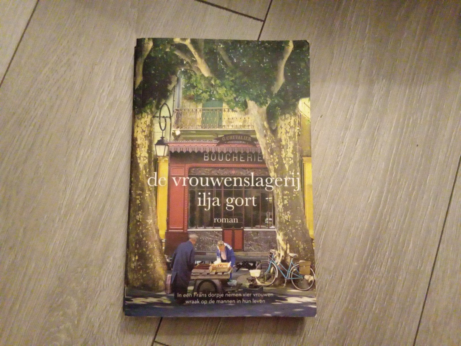 De Vrouwenslagerij - Ilja Gort (Roman), Ophalen of Verzenden, Zo goed als nieuw, Ilja Gort, Nederland