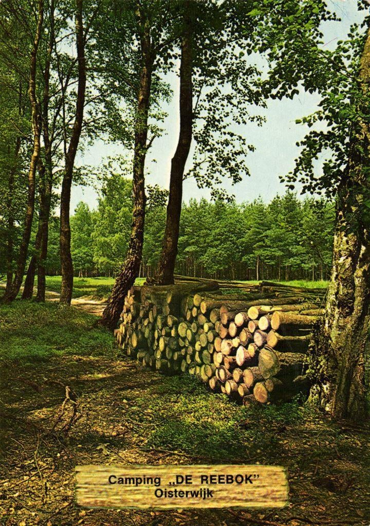 Camping de Reebok, Oisterwijk - gelopen, Ophalen of Verzenden, Voor 1920, Gelopen, Noord-Brabant
